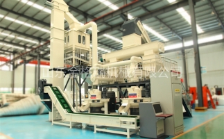 辦木屑顆粒燃料廠需要準備哪些工作？山東顆粒機廠家和您說說